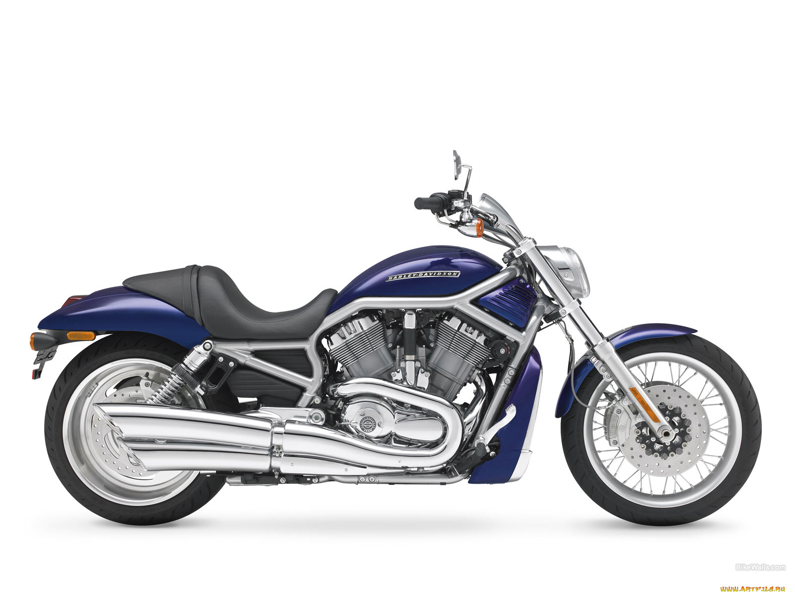 , harley, davidson